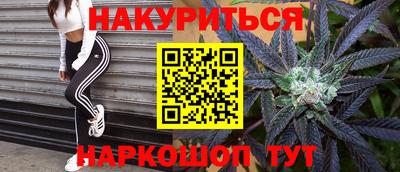Альфа ПВП Будённовск