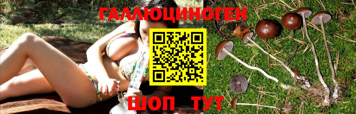 Псилоцибиновые грибы прущие грибы Первоуральск