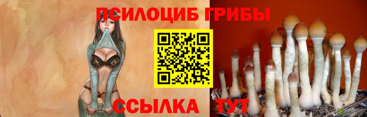 Первоуральск  где найти наркотики  Вход с VPN  Псилоцибиновые грибы GOLDEN TEACHER  Галлюциногенные грибы мухоморы 